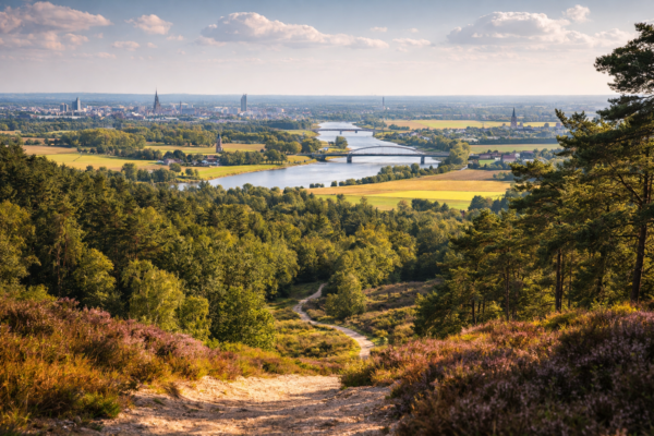 Wonen in Gelderland: een overzicht van de regio’s