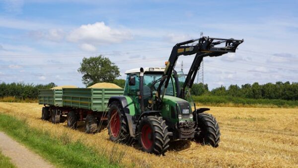 Torsie as reparatie: zo herken je problemen en wat je eraan doet